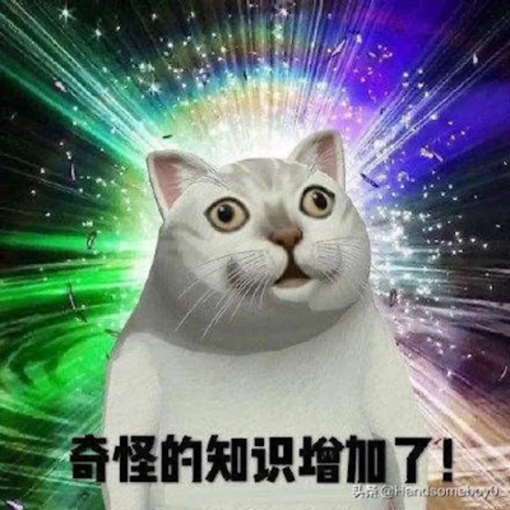 Meet your Posher, Womp 治愈我心